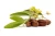 Import Pure Cold Pressed Natural Jojoba Oil from India