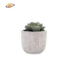 PVC green tabletop indoor artificial cactus succulents plant in cement pot for home decoration