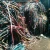 Import real factory insulated copper cable wire scrap for sale from Philippines