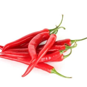 red hot chilli  wholesale hot selling  pepper