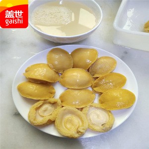 seafood canned abalone/canned shellfish new product