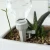 Import Self Watering Flower Plant Device Automatic Garden Sprinklers Water 12pk from China