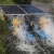 Import Solar panel fish pond aquaculture equipment solar powered paddle wheel aerator with 4 impellers from China