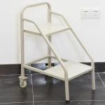 Steel furniture two wheels Diagonal Library Cart 2 step ladder