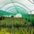 Import SUN SHADE NET FOR AGRICULTURAL DURABLE SHADE NETTING from China