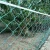 Import supply extruded poultry netting chicken net poultry chicken netting fence from Hong Kong