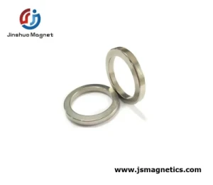 Supply Small Tiny Thin Neodymium Magnet Ring Custom Sizes Rare Earth Magnet Ring