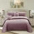 Import Teal luxury dot stiching handmade velvet comforter sets from China