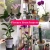The best flower pots planters clear plastic pots simple bulk flower pots for orchid flowers