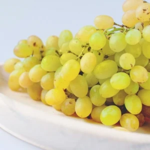 Thompson Seedless  Grapes best price