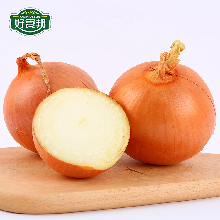 top fresh yellow onion wholesale with good market price