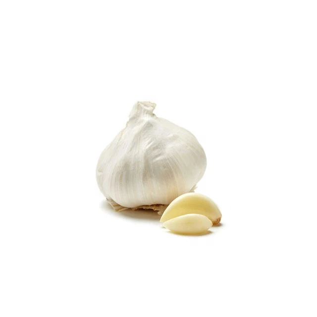 top quality dry garlic fresh Indian garlic