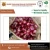 Import Top Quality Wholesale Fresh Onion from India at Lowest Price from India