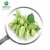 Import Top Quality xanthohumol Hops Extract Hops Flower Extract powder from China