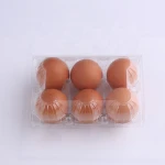 Transparent Disposable 6 Holes PET Plastic Egg Tray Packaging Box Egg Tray