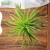 Import UV poof fake green ornamental foliage leaves plants wall decoration from China