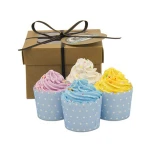 Vegan Organic Rich Bubble Cupcake Shape Nature Exfoliating Moisturizing bath bombs kit