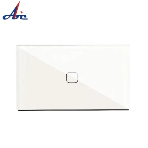 W23 Glass Panel 1 Gang Touch Light Switch Capacitive Touch Wall Switch