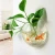 Import Wall Mounted Acrylic Fish Bowl Beta Fish Tank Aquariums Hydroponic Plant Home Decor from China