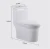 Import Wall Toilet Sanitary Wc With P Drainage Pattern Sets Wash Basins Siphonic Tornado Flush Bowl Luxury Bidet from China