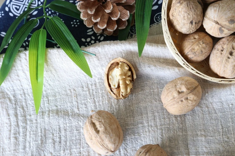 Walnut export wholesale price of natural walnut in shell