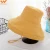 Import Wefans Wild big   ins Formal Hat female  cap fedora hat cloth hat wholesale from China