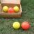 Import Weighted Baseballs and Softballs for Hitting,Batting and Pitching Practice from China