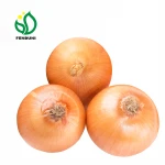 white onion seed/onions red/onion buyers