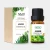Import Wholesale 100% Pure and Natural Jasmine Essential Oil from China
