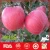 Import Wholesale 2017 New Fresh Red China Fuji Apple Price from China