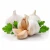 Import wholesale 2020 new Garlic from China