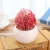 Wholesale Cute Small Artifical Succulent Plants With Ceramic Pot