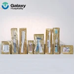 Wholesale Eco Friendly Toothbrush Shampoo Brush Hotel Amenities Set Best Hotel Amenities Amenity Kit