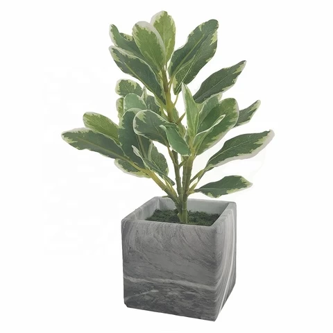Wholesale high quality real touch artificial evergreen plant potted  for home decor