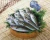 Import Wholesale IQF Frozen Mackerel Fish Prices from China