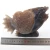 Import Wholesale Natural geode agate quartz fish hand carved crystal stand reiki home decoration from China