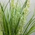 Import Wholesale simulation plant in pots flower creative ornamental artificial plant from China