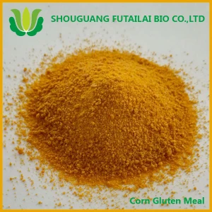 wholesale yellow maize corn gluten meal 60% protein