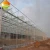Import Wide Span Agriculture glass greenhouse hot sale from China