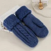 Women Fashion Knit Twist Flowers Mittens Winter Female Wool Plus Cashmere Velvet Thickening Warm Full Finger