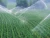 Import X-humate Organic Fertilizer Potassium Humate Flakes in Agriculture 85-95 % potassium humate from China