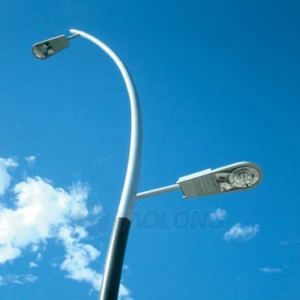 Yaolong Stainless Steel Dual Arm 10 Meters Street Light Pole Cast Iron Outdoor Electrical Pole