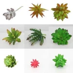 YiWu-OYUE Artificial Succulent Plants and plant extraction