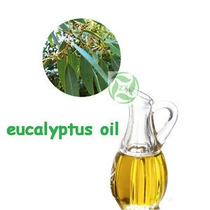 ZX wholesale eucalyptus oil price,eucalyptus essential oil bulk