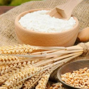Food additive/vital wheat gluten for sale