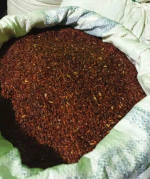 Indonesian Brown Rice