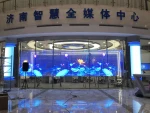 crystal film led display