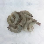 FROZEN VANAMEI SHRIMP