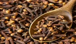 Clove