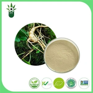 Ginseng Extracts , Ginseng root